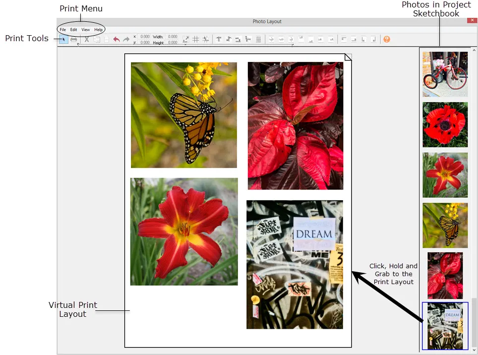 Print Layoutng Printing with Photo Layout | Articles | Electric Quilt Support